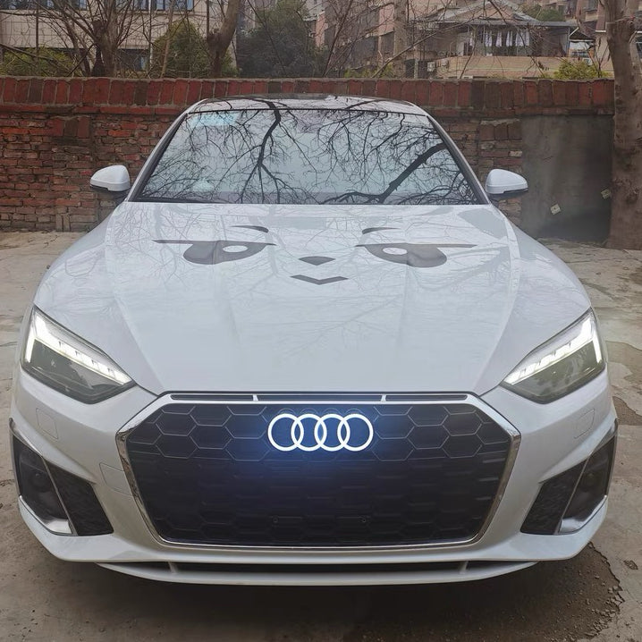 Highest quality crystal dynamic white Audi logo A4 A5 A6 A7 Q5 Q7 led front audi symbol light on the market with 2 years warranty-0